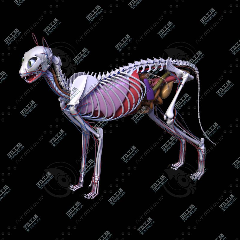 images/goods_img/20210115/Shark (Rigged) 3D model/3.jpg